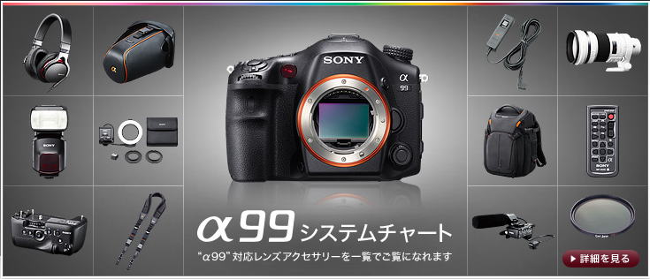 SONYデジタル一眼カメラ α99 ソニーストアモデル